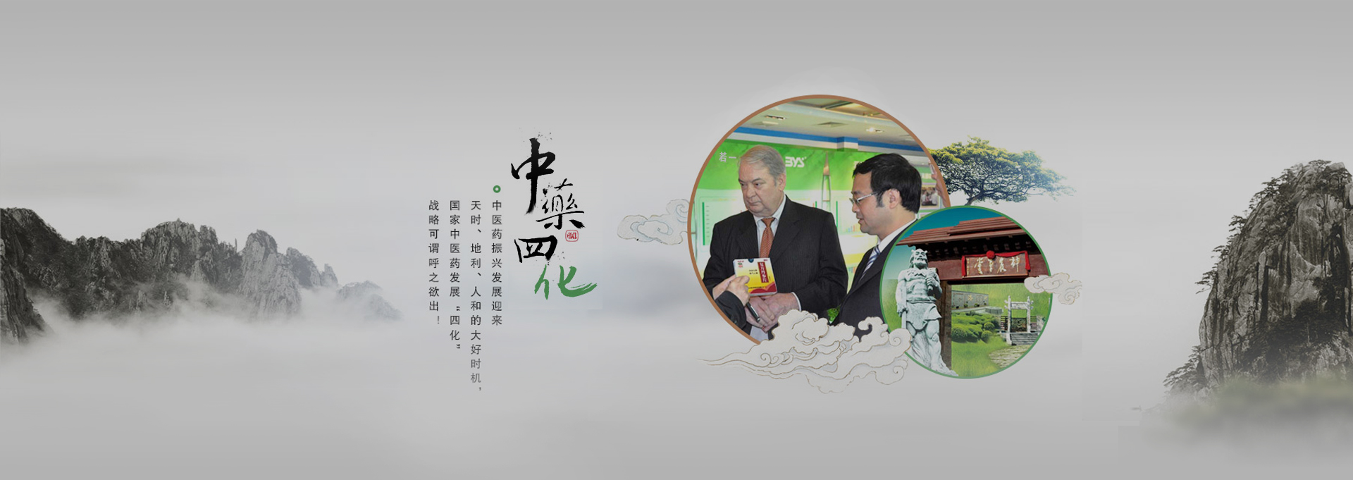文县建站-若一医药科技