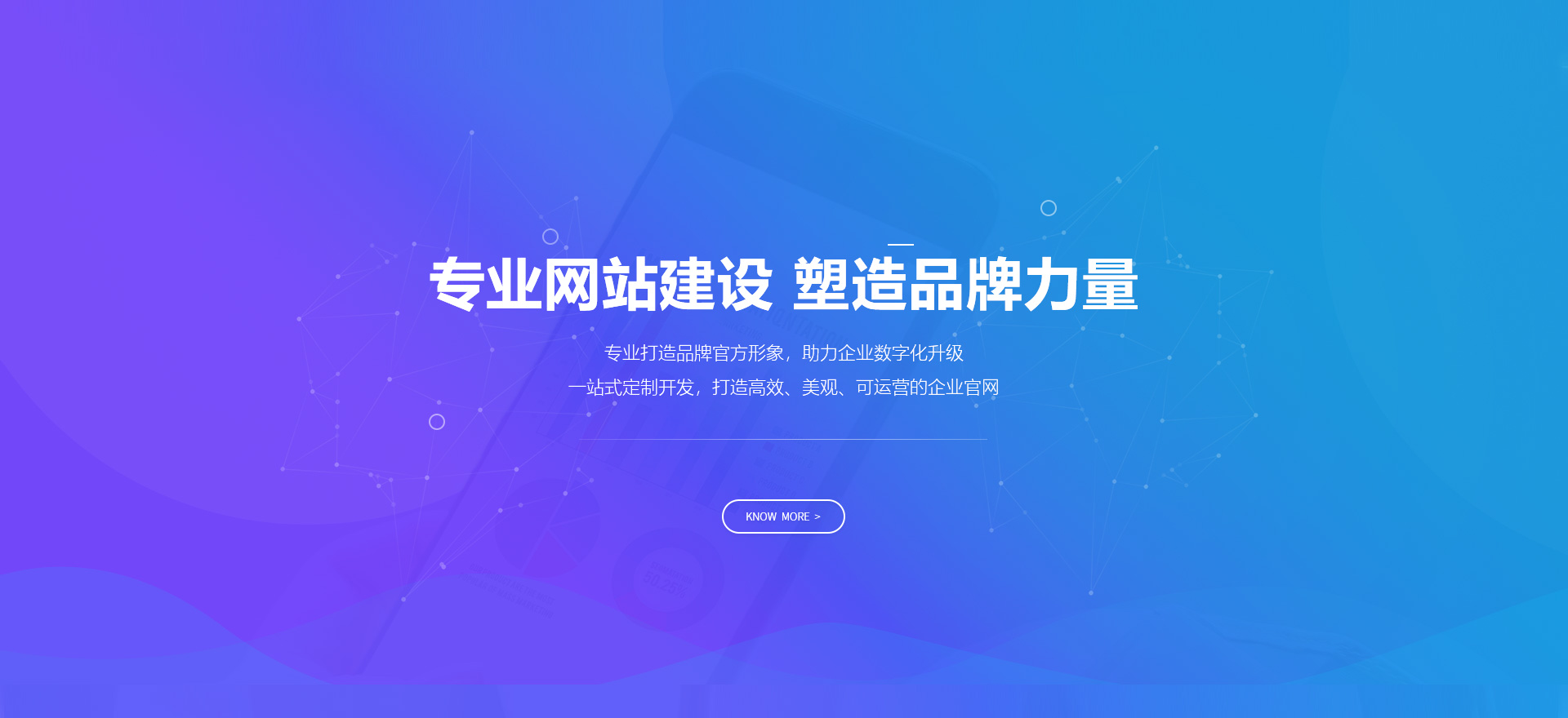 陇南建站-专业网站建设 塑造品牌力量
