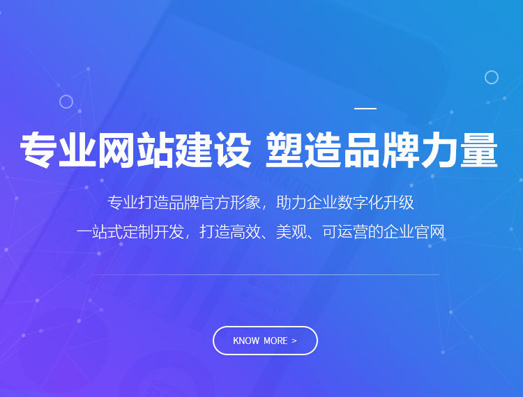 陇南建站-专业网站建设 塑造品牌力量